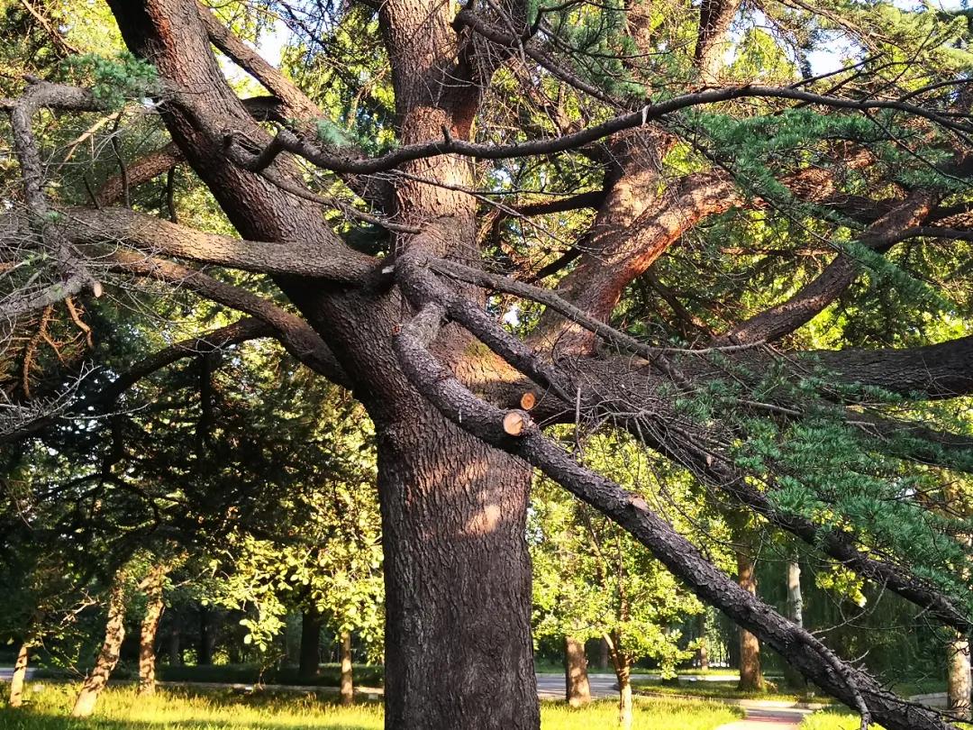 15321c67a3cd1d06fc33c86c6026970e.jpg 19_ABC看图.jpg