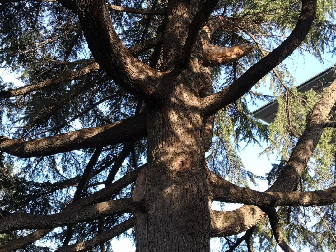 6181cded91cdc3fb0a7cfb16e25ff4ba.jpg 20_ABC看图.jpg