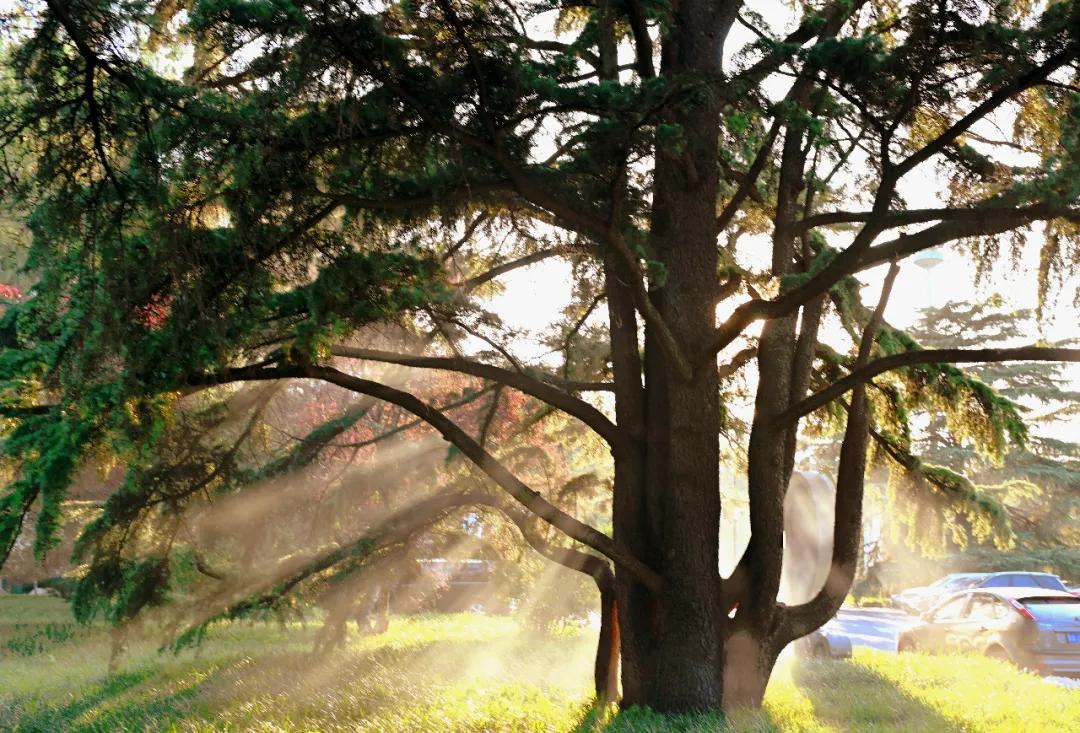 734e6a4e654ff99c9d8d266436e73506.jpg 7_ABC看图.jpg