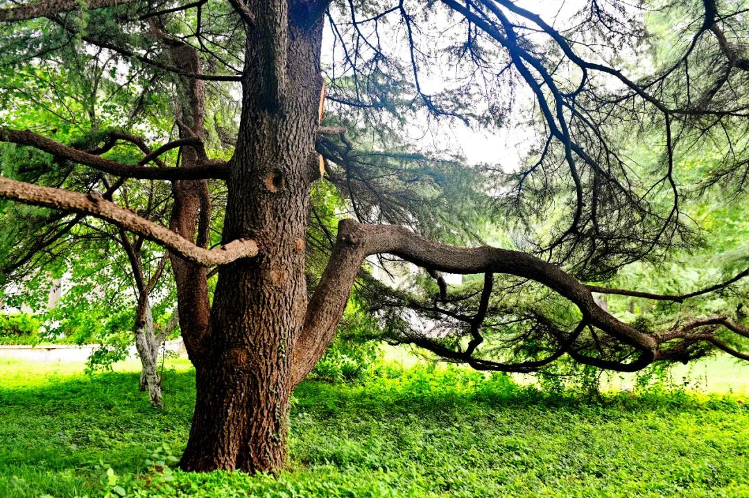 8fd2f95b04190cde30d203798f13bab8.jpg 22_ABC看图.jpg