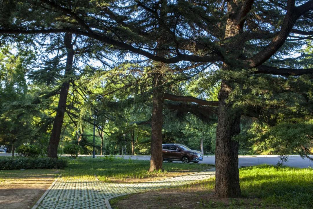 c00e402bd292e0591262ddf37985b869.jpg 14_ABC看图.jpg