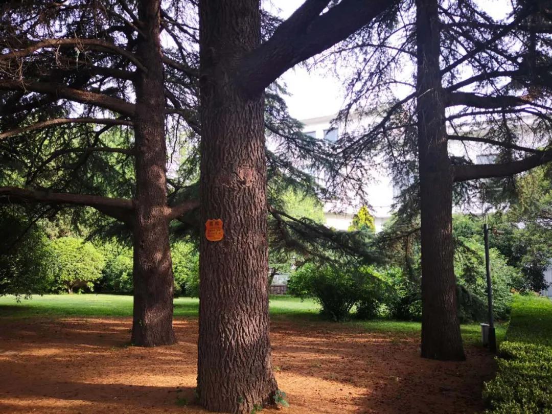 c7a98691f61143f1d2392743cc638d79.jpg 15_ABC看图.jpg