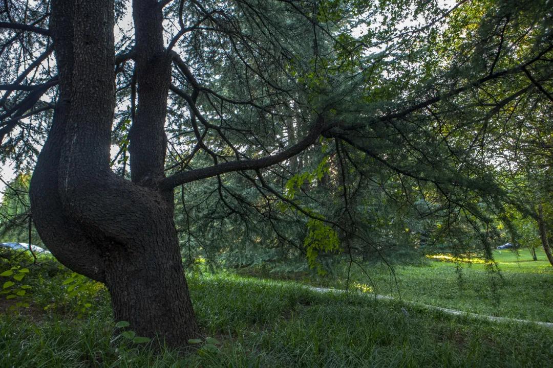 cb9d12eeb6b73b8174c2f6a1683c206a.jpg 24_ABC看图.jpg