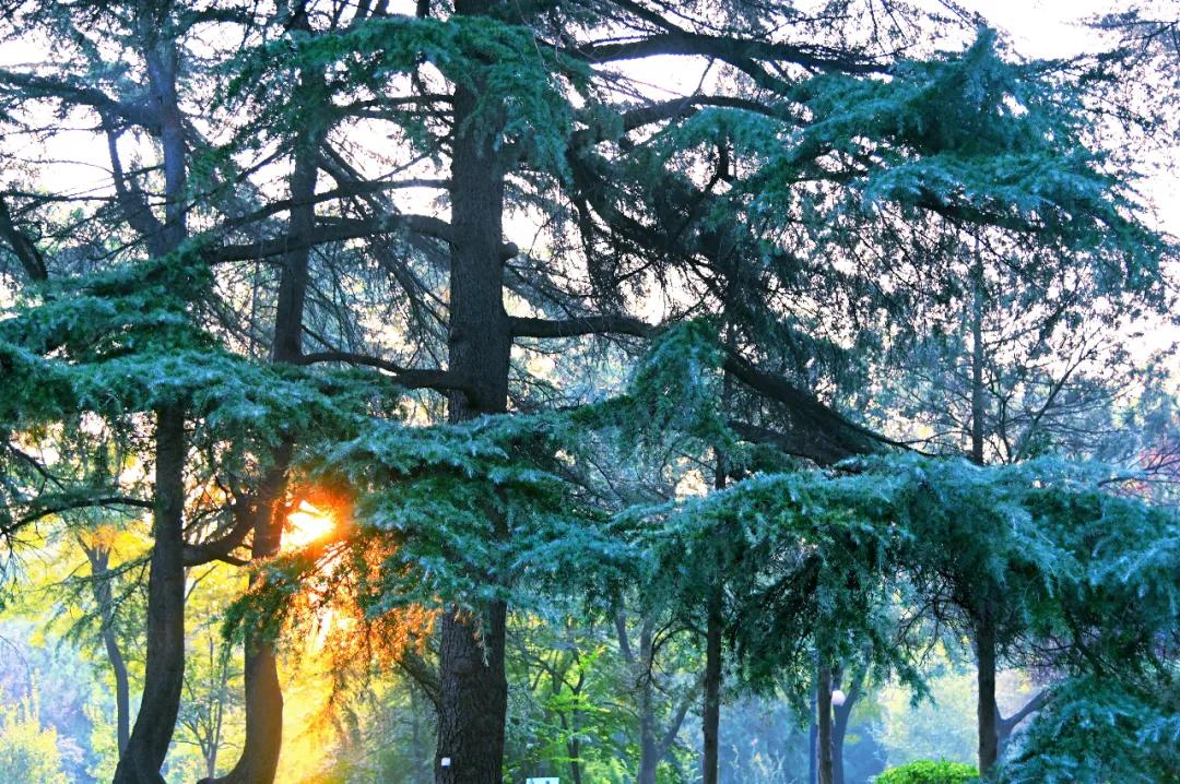 e299ce8399bd8b81dceae9a9e26606b2.jpg 4_ABC看图.jpg