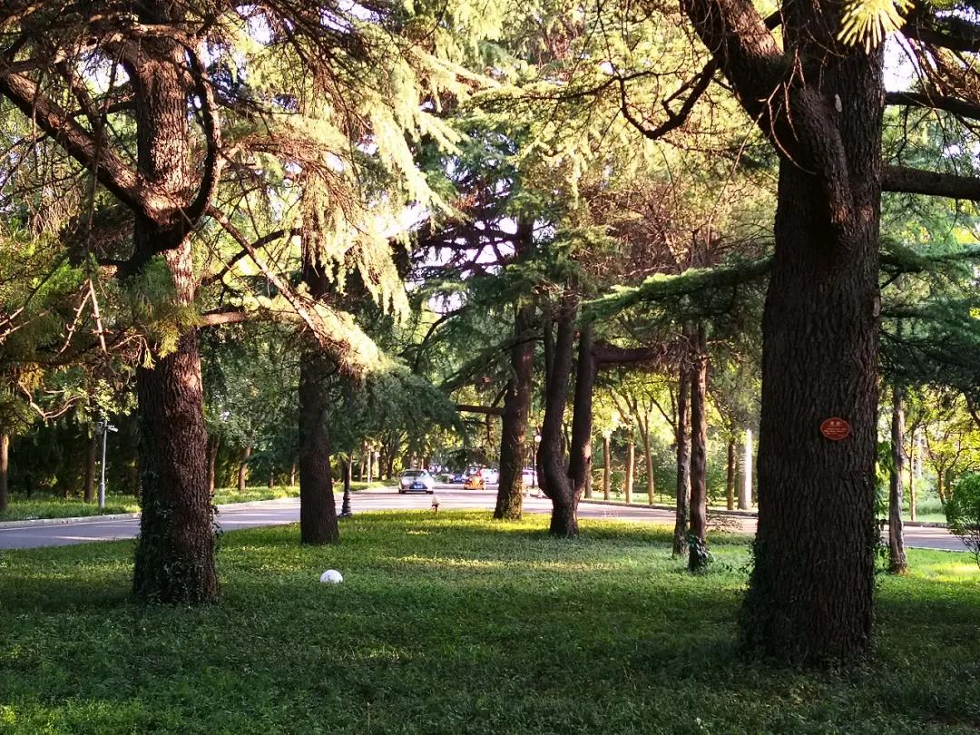 e7321dbff7a5a250b69393225e57311f.jpg 13_ABC看图.jpg