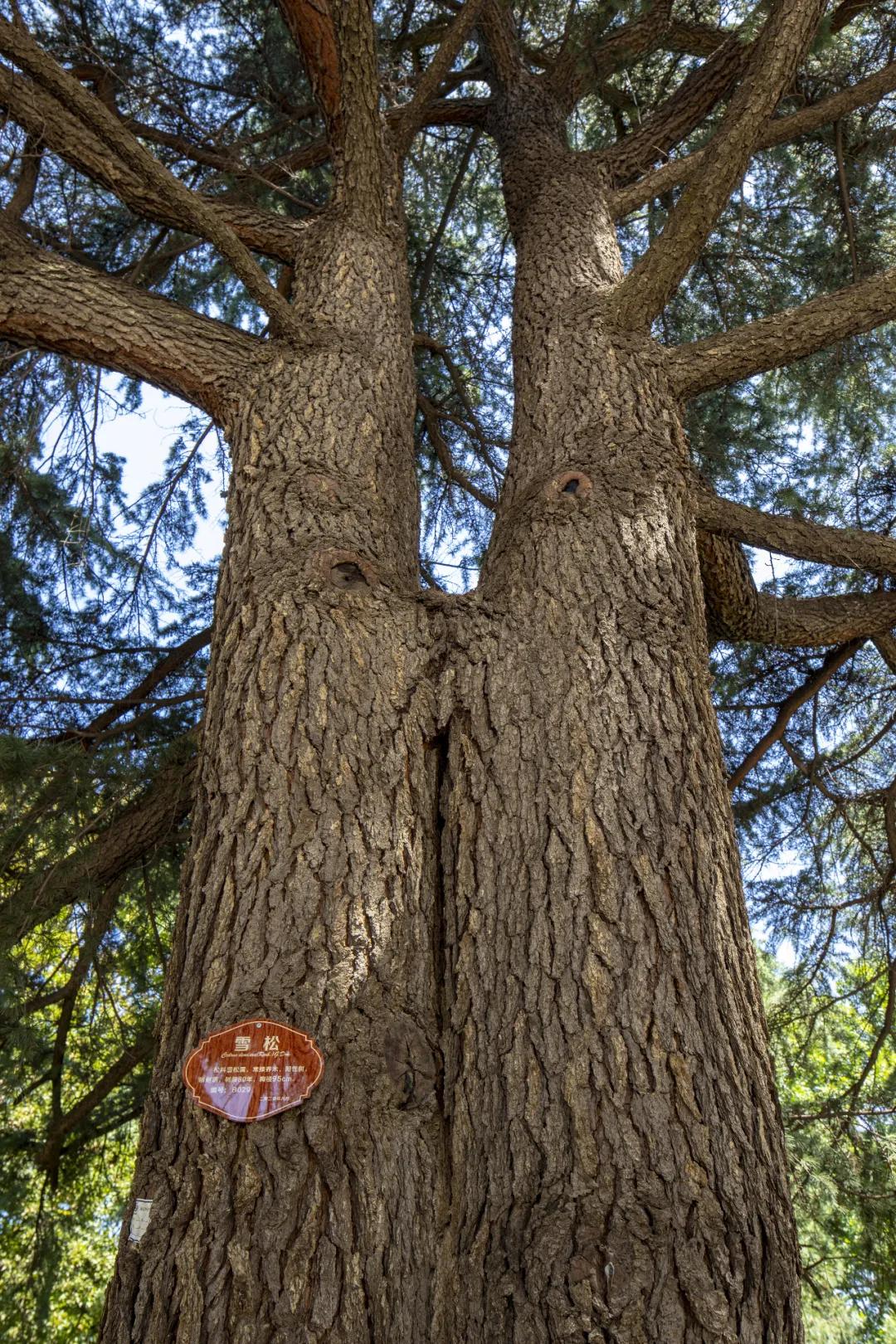 ee32656d5e05d2f7d6ef705331bd0bbf.jpg 26_ABC看图.jpg